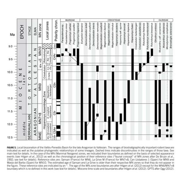 Methods of Biostratigraphy image thumbnail