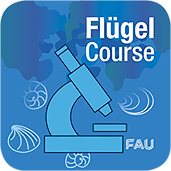 International Course on Carbonate Microfacies (<i>Flügel Course</i>) image thumbnail