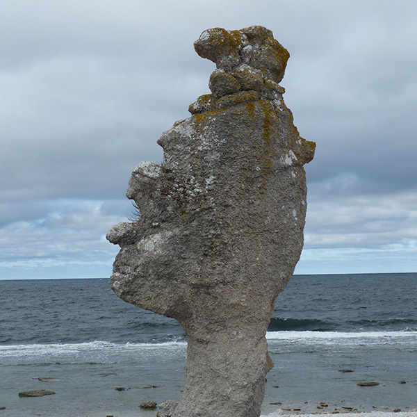 Gotland Field School image thumbnail