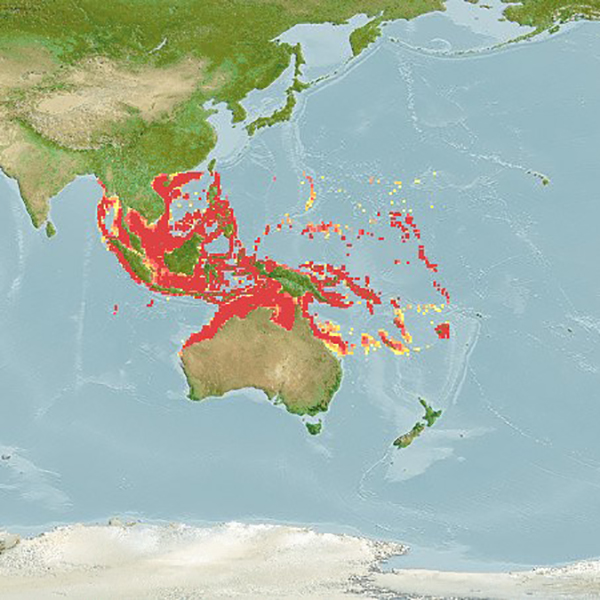 Macroecology image thumbnail