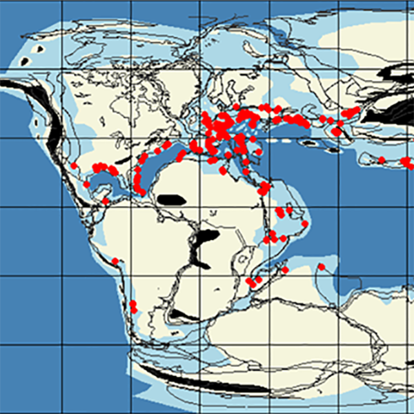 Programming and statistics in reef system analysis image thumbnail