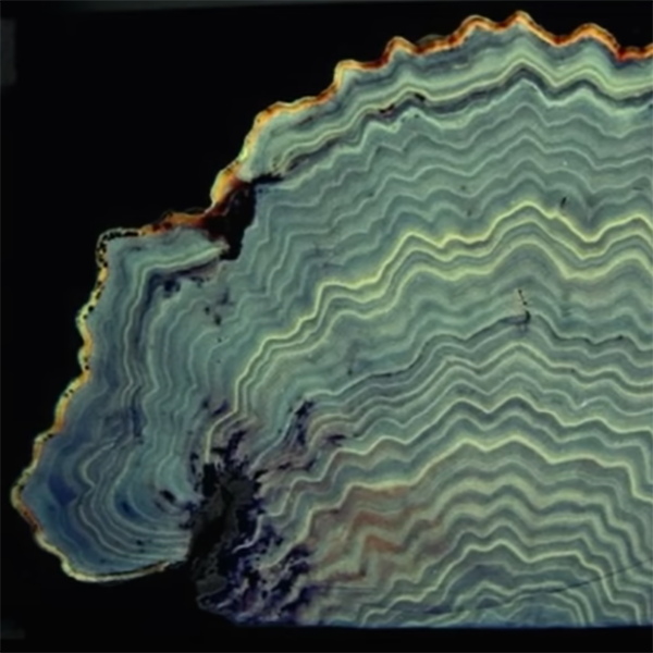 Proxies in Paleoenvironmental Reconstructions image thumbnail